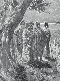 Maori Chiefs